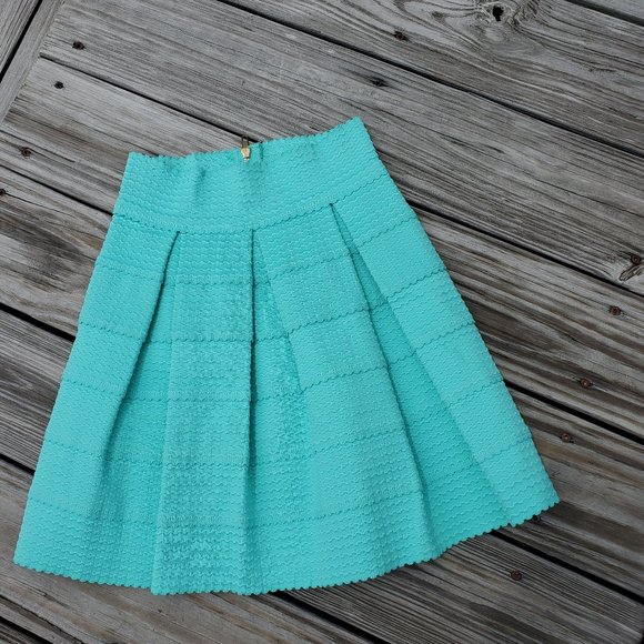 Honey Punch Dresses & Skirts - FINAL PRICE HONEY PUNCH PLEATED MINI SKIRT
